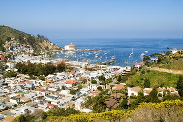 Catalina Island Avalon Highlights Walking Tour
