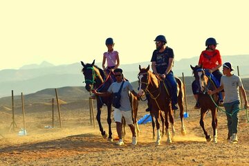 3 Hour Marsa Alam Sea and Desert Horseback Riding with Swimming