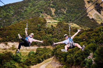 Half Day Zipline Adventure in Kaikoura