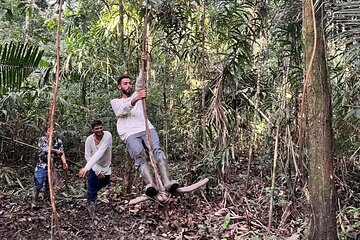 amazon jungle experience 3 days 2 nights