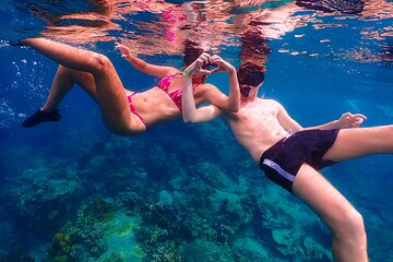 5 Islands Full-Day Tour Around Koh Tao and Koh Nangyuan