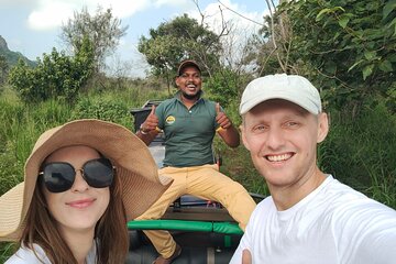 Minneriya National Park halfday Safari