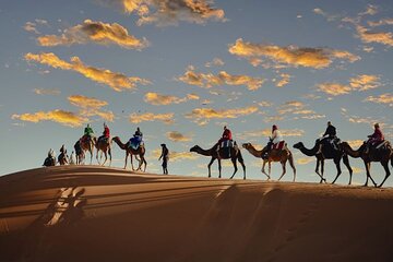 2 nights sahara desert camp & camel trek