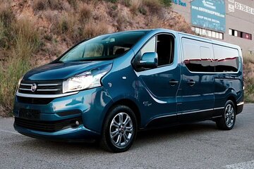 Private Transfer Pyrénées Airport LDE to Pau City by business Van