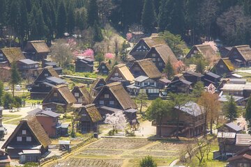 Nagoya: Hida Takayama & World Heritage Shirakawa-go Day Tour