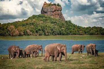 Sigiriya and Dambulla Day Trip from Pasikuda and Kalkuda 