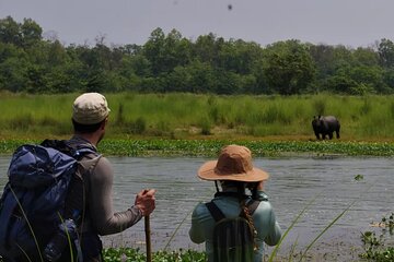 4 Days 3 Nights in Chitwan National Park Jungle Trek from Sauraha