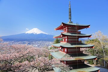 Classic Shizuoka with Mt.Fuji Viewing 1 Day Private Tour