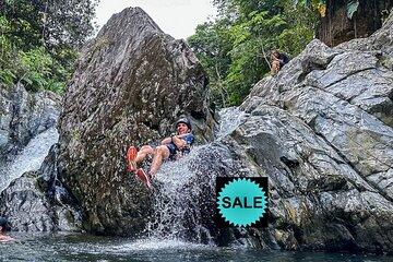 El Yunque Tour - 8am and 11am /Transportation incl SMALL GROUPS