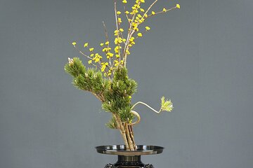 Fukuoka:Ikebana Experience with the Seiwa Goryu School