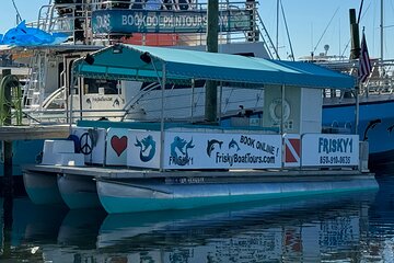 Dolphin & Sightseeing Cruise + Private Beach Stop