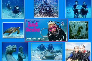 Discover Scuba Diving