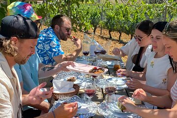 Algarve Private Vineyard Picnic