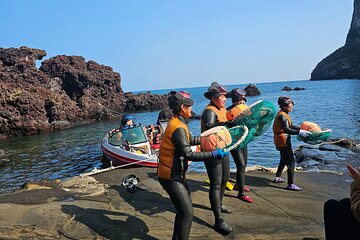 Jeju Private Day Tour- Seongsan Ilchulbong & Haenyeo performance